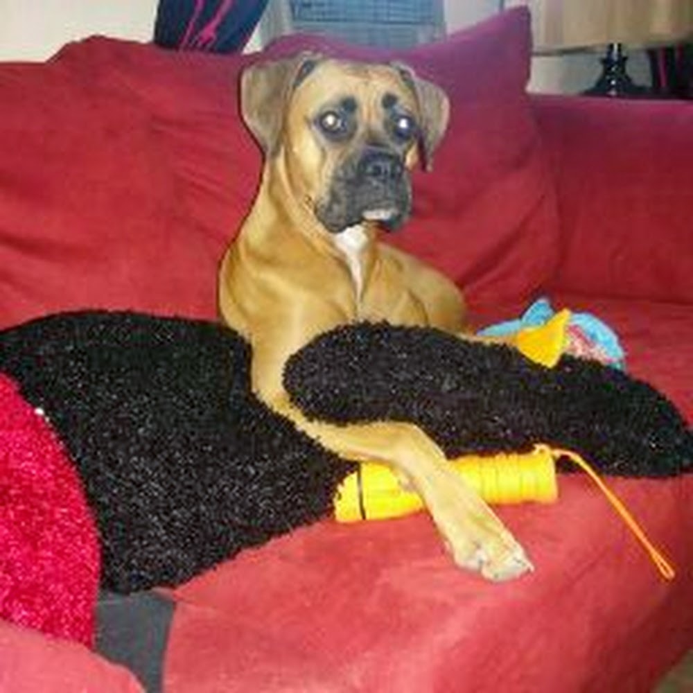 Meet your Posher, Yvette